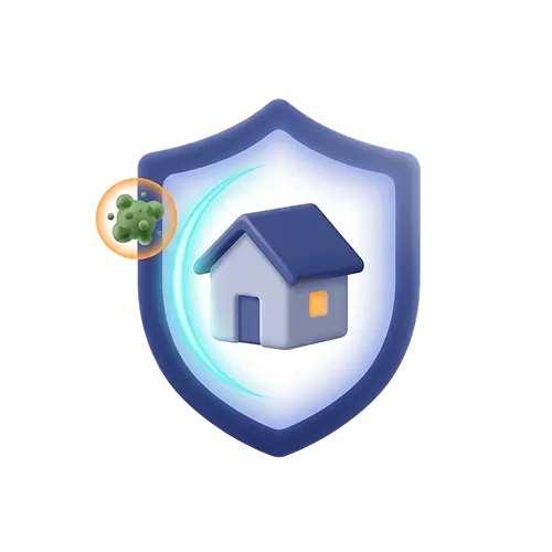 Mold Remediation in Bergen County